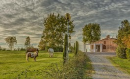 Pietrantica,ein wunderschönes Feriendomizil in der Toskana